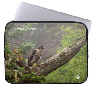 Housse Pour Ordinateur Portable Fall - Peregrine Falcon
