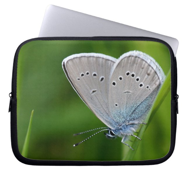 Housse Pour Ordinateur Portable Farfalla Laptop Sleeve (Devant)