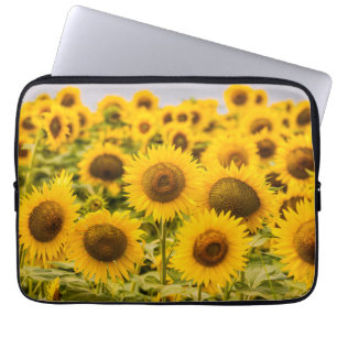 Housse Pour Ordinateur Portable Farms   A Sunflower