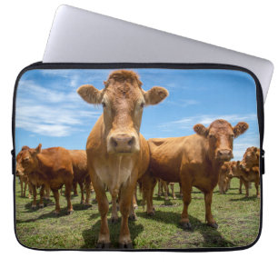 Housse Pour Ordinateur Portable Farms   Brown cow