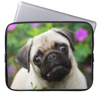 _fauve mignon de photo d'animal familier de visage