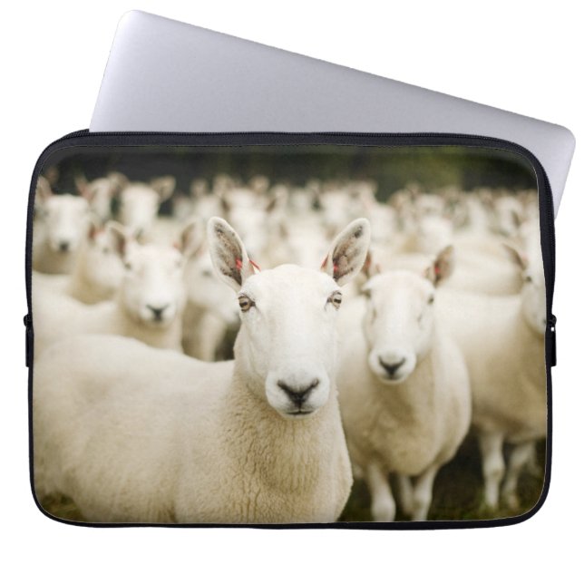 Housse Pour Ordinateur Portable Fermes | Troupeau de moutons (Devant)