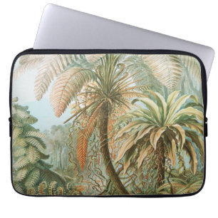 Housse Pour Ordinateur Portable Ferns, Filicinae Laubfarne par Ernst Haeckel