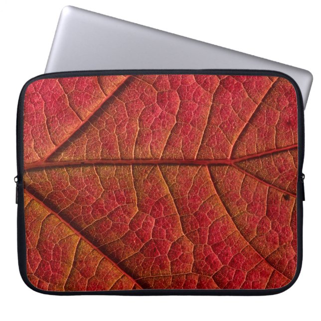 Housse Pour Ordinateur Portable Feuille rouge (Devant)
