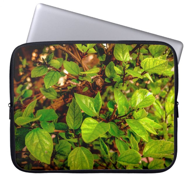 Housse Pour Ordinateur Portable Feuilles et soleil (Devant)