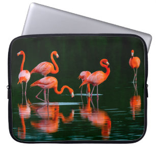 Housse Pour Ordinateur Portable Flamants américains avec reflets Repos et Fo