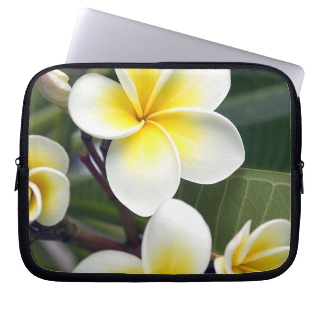 Housse Pour Ordinateur Portable Fleur de frangipanier Îles Cook (Devant)