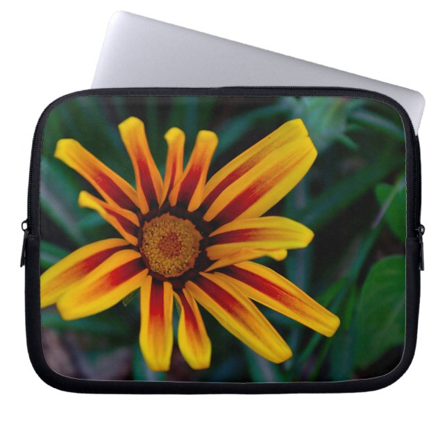 Housse Pour Ordinateur Portable Fleur de Gazania (Devant)