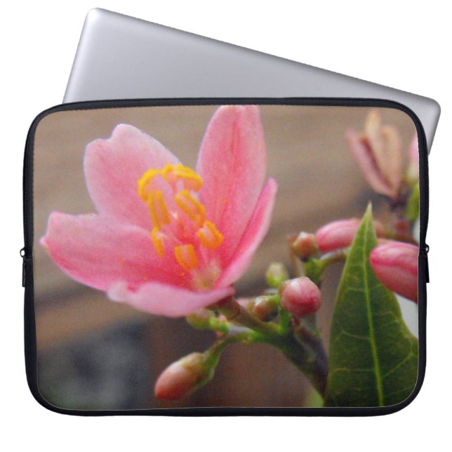 Housse Pour Ordinateur Portable Fleur de Jatropha Rose Clair (Devant)