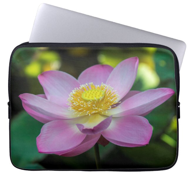 Housse Pour Ordinateur Portable Fleur de lotus en fleurs, Indonésie (Devant)