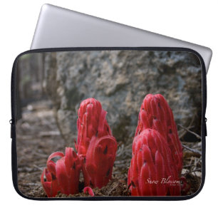 Housse Pour Ordinateur Portable Fleurs de neige