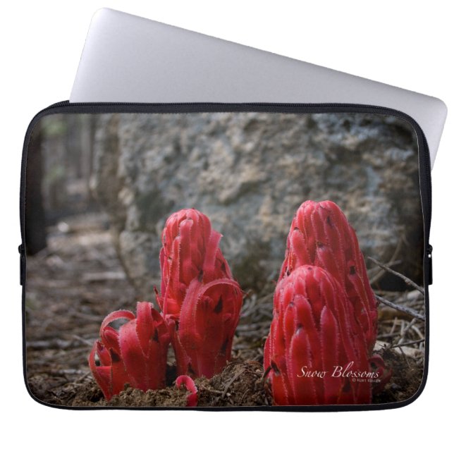 Housse Pour Ordinateur Portable Fleurs de neige (Devant)