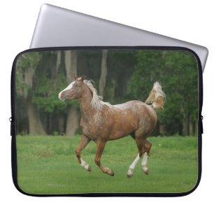 Housse Pour Ordinateur Portable Fonctionnement de cheval d'Appaloosa