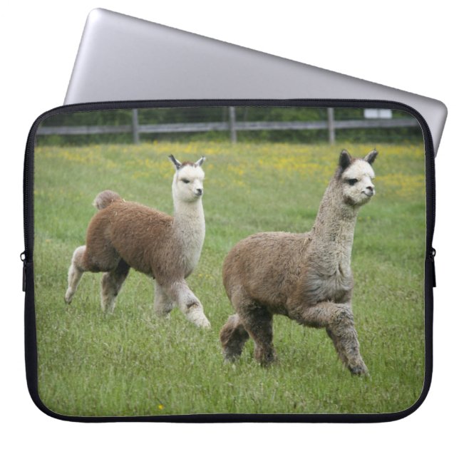 Housse Pour Ordinateur Portable Fonctionnement gris d'alpaga (Devant)