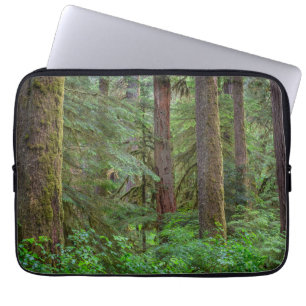 Housse Pour Ordinateur Portable Forêt nationale de Willamette Oregon