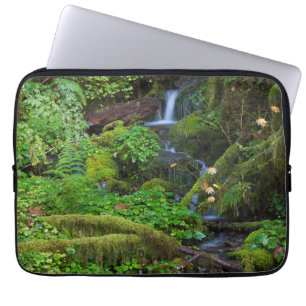 Housse Pour Ordinateur Portable Forêt tropicale humide d'automne Parc national O