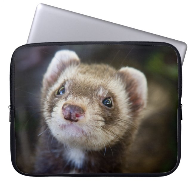 Housse Pour Ordinateur Portable Furet (Devant)