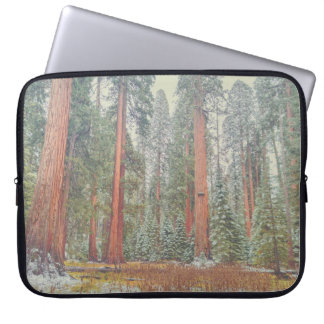 Housse Pour Ordinateur Portable Giant Sequoia Forest Landscape