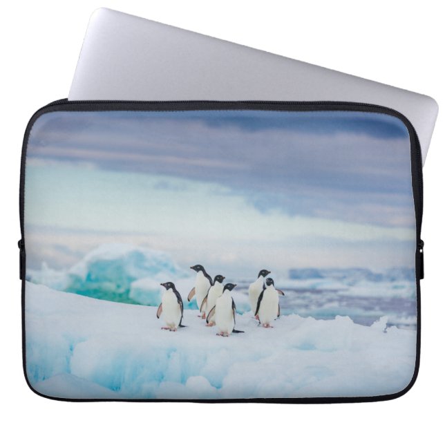 Housse Pour Ordinateur Portable Glace et neige | Adelie Penguins Antarctique (Devant)