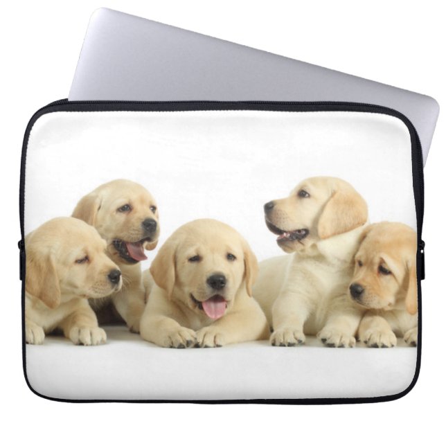Housse Pour Ordinateur Portable Golden Labrador Pupile (Devant)