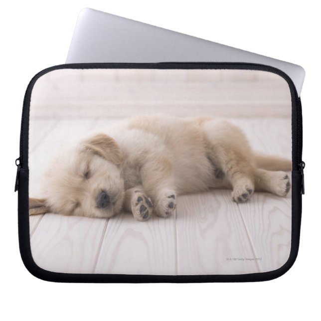 Housse Pour Ordinateur Portable Golden Retriever (Devant)