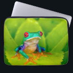 Housse Pour Ordinateur Portable Grenouille aux yeux rouges, Costa Rica<br><div class="desc">Grenouille aux yeux rouges (Agalychnis callidryas),  Costa Rica</div>