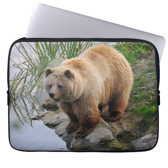 Housse Pour Ordinateur Portable Grizzly Oear Wildlife Animal Photographie (Devant)