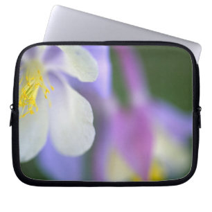 Housse Pour Ordinateur Portable Gros plan de la fleur de l'Ancolie du Colorado.