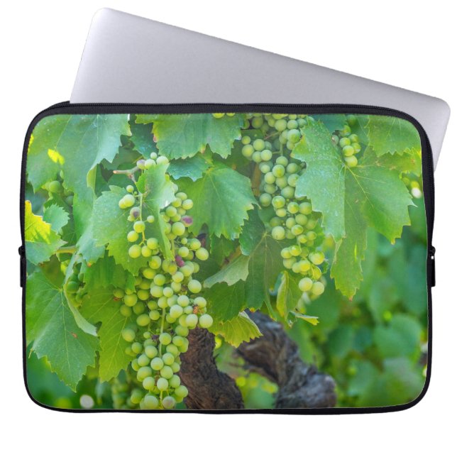 Housse Pour Ordinateur Portable Gros plan de raisins matures (Devant)