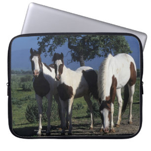 Housse Pour Ordinateur Portable Groupe de chevaux de peinture