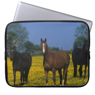 Housse Pour Ordinateur Portable Groupe de chevaux de pur sang
