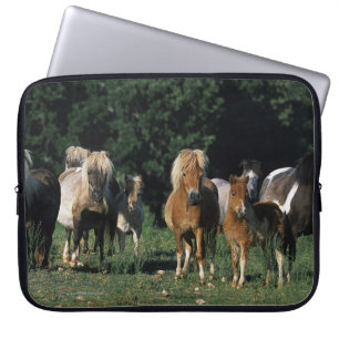 Housse Pour Ordinateur Portable Groupe de poulains miniatures