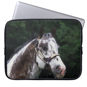 Housse Pour Ordinateur Portable Headshot 2 de cheval d'Appaloosa