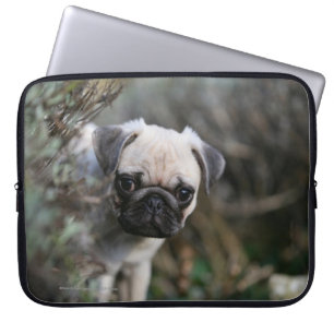 Housse Pour Ordinateur Portable Headshot de chiot de carlin de faon