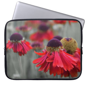 Housse Pour Ordinateur Portable Hélénium rouge dans des couleurs sélectives - D