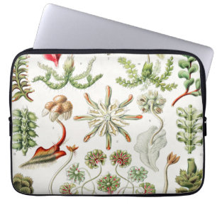 Housse Pour Ordinateur Portable Hepaticae Lebermoose par Ernst Haeckel