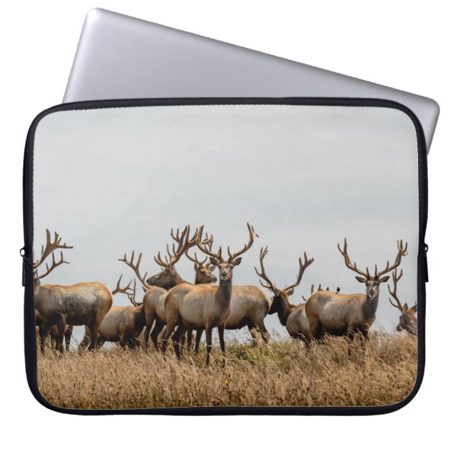 HOUSSE POUR ORDINATEUR PORTABLE HERBE DE CERF (Devant)