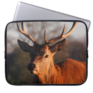 HOUSSE POUR ORDINATEUR PORTABLE HI DEER