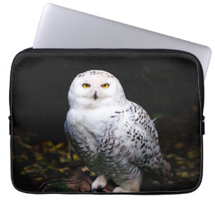 Housse Pour Ordinateur Portable Hibou des neiges majestueux d'hiver