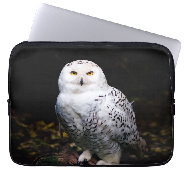 Housse Pour Ordinateur Portable Hibou des neiges majestueux d'hiver (Devant)