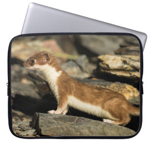 Housse Pour Ordinateur Portable Huile de chasse