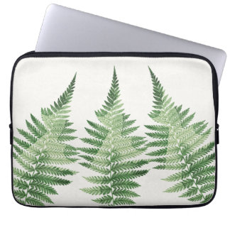 Housse Pour Ordinateur Portable Illustration végétale minimaliste de la fougère ve