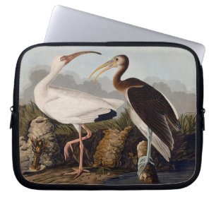 Housse Pour Ordinateur Portable Impression d'oiseau Ibis blanc de John James Audub