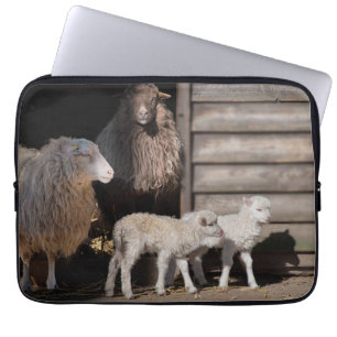 Housse Pour Ordinateur Portable Impressionnant mouton avec agneaux Photo d'animal