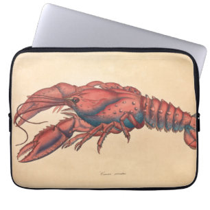 Housse Pour Ordinateur Portable James Sowerby Homard serbé
