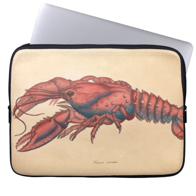 Housse Pour Ordinateur Portable James Sowerby Homard serbé (Devant)