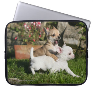 Housse Pour Ordinateur Portable Jeu de chiot de chiwawa