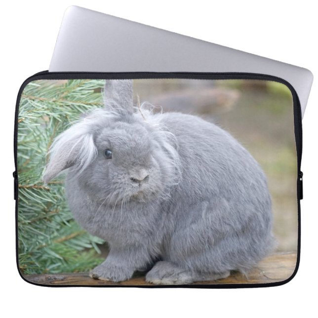 Housse Pour Ordinateur Portable Joli lapin gris (Devant)