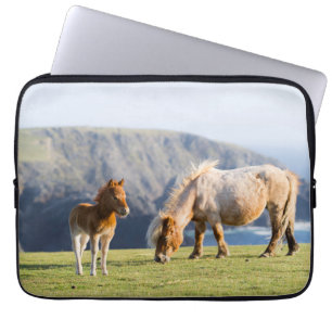 Housse Pour Ordinateur Portable Jument avec poulain, îles Shetland, Écosse