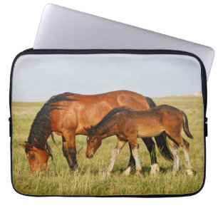 Housse Pour Ordinateur Portable Jument de cheval sauvage et poulain paissant